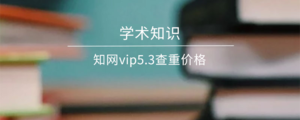 知网vip5.3查重价格