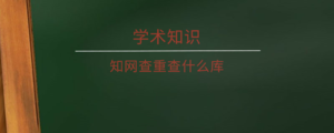 知网查重查什么库