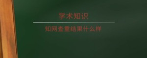 知网查重结果什么样