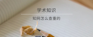 知网怎么查重的