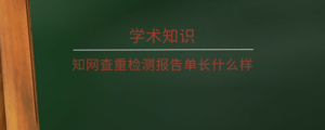 知网查重检测报告单长什么样