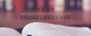 中国知网怎么翻译外文关键字