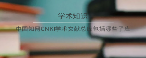 中国知网CNKI学术文献总库包括哪些子库