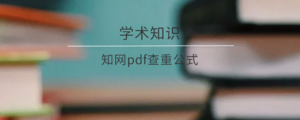 知网pdf查重公式