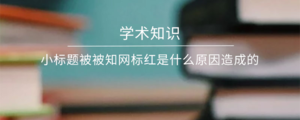 小标题被被知网标红是什么原因造成的.png