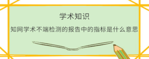 知网学术不端检测的报告中的指标是什么意思