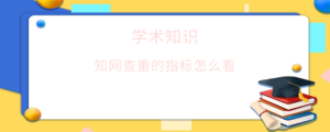 知网查重的指标怎么看.png