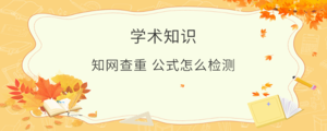 知网查重 公式怎么检测.png