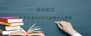 大学生本科PMLC查重什么意思.png